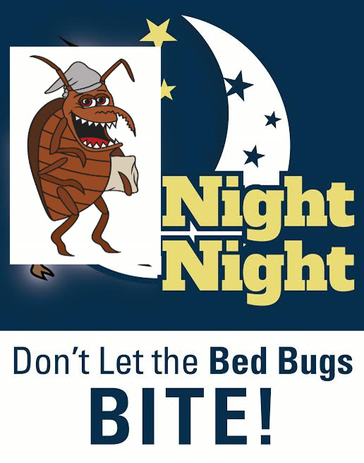 Bed Bug Treatment CT 4