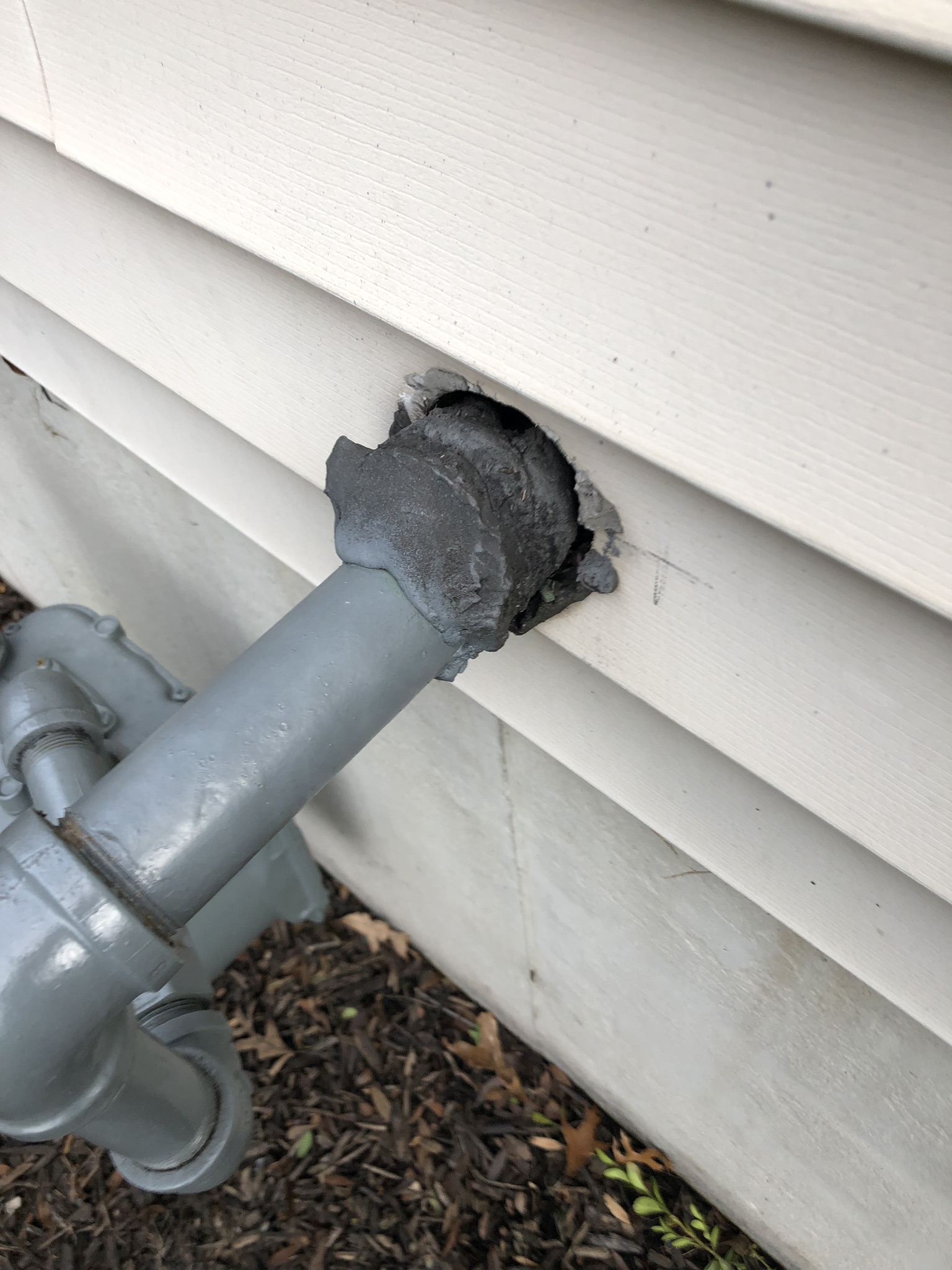 Rodent Control CT 5
