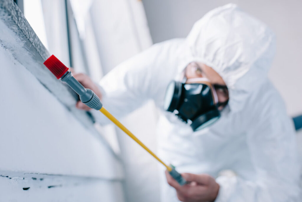 professional pest control worker spraying pesticide for carpenter ant control 