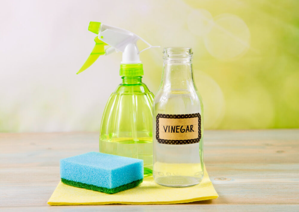 Vinegar To Kill Carpenter Ants